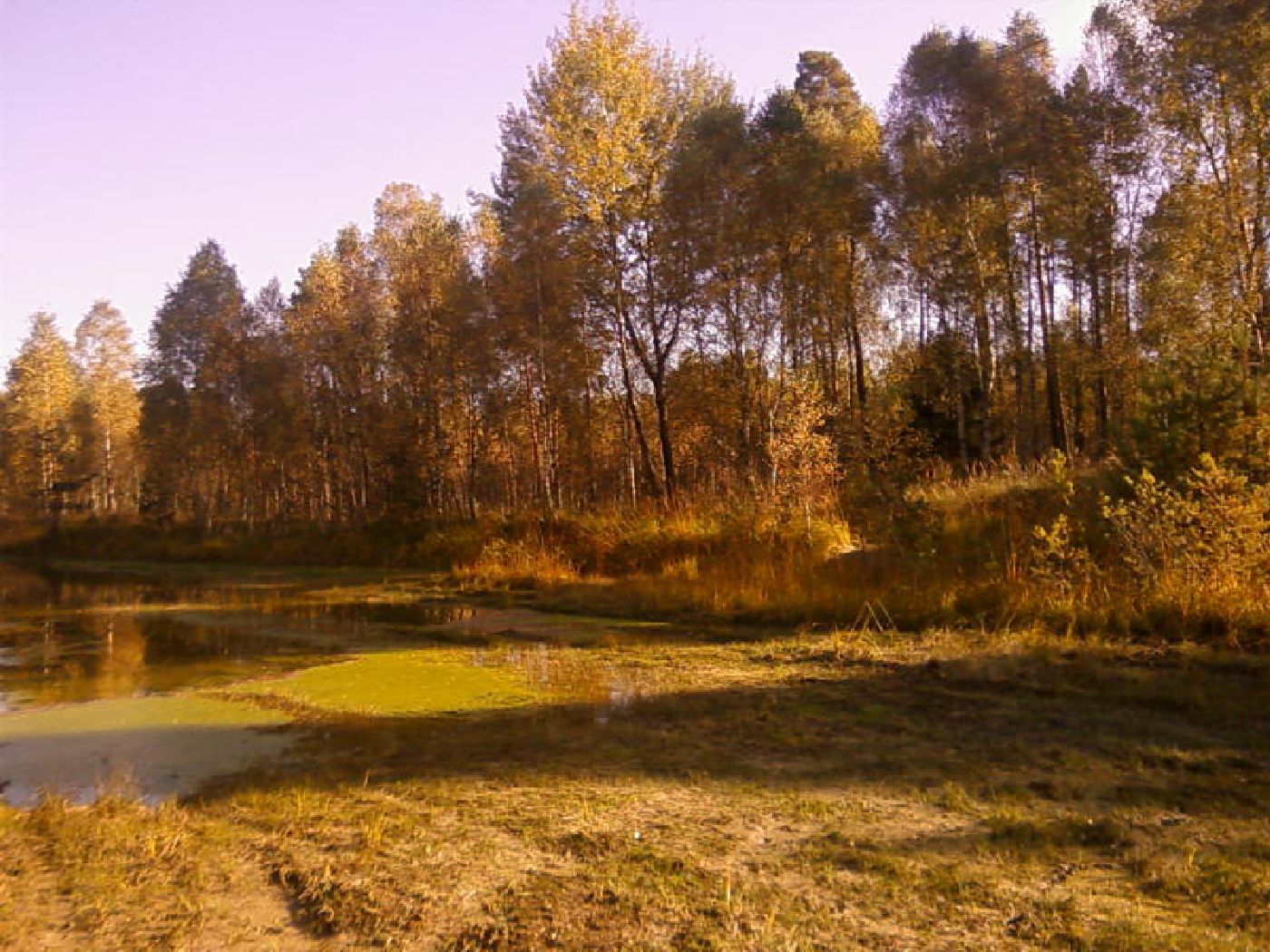 Místo zimy přijde do Česka jaro, čeká nás velmi nezvykle teplý týden