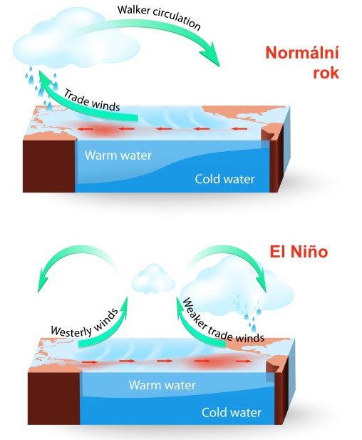 Cirkulace v normálních letech a při jevu El Niño