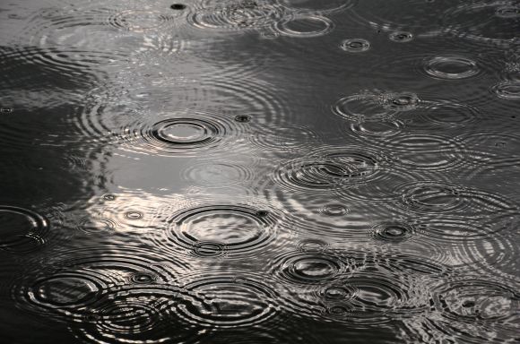 Vydatný déšť zasáhl hlavně Čechy a Jeseníky, zvedly se řeky