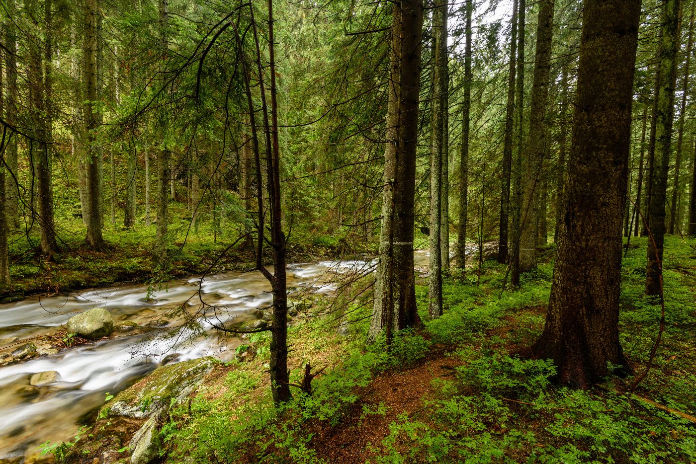 Aktivita klíšťat i množství pylu vzroste až na mimořádné hodnoty, víme, kde je riziko nejvyšší