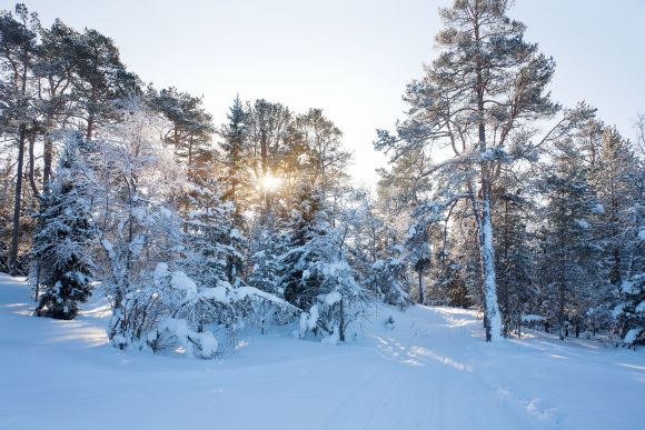 Většina Česka pod sněhem, v Krkonoších je ho už metr a půl