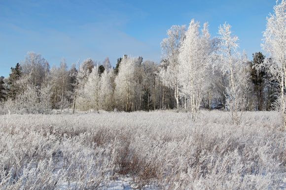 V Rusku čekají třeskuté mrazy, ve Skandinávii výrazné oteplení