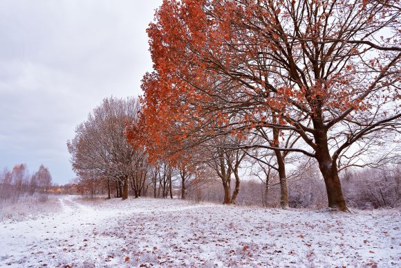 Čeští vědci dokázali, že v Evropě padá méně sněhu