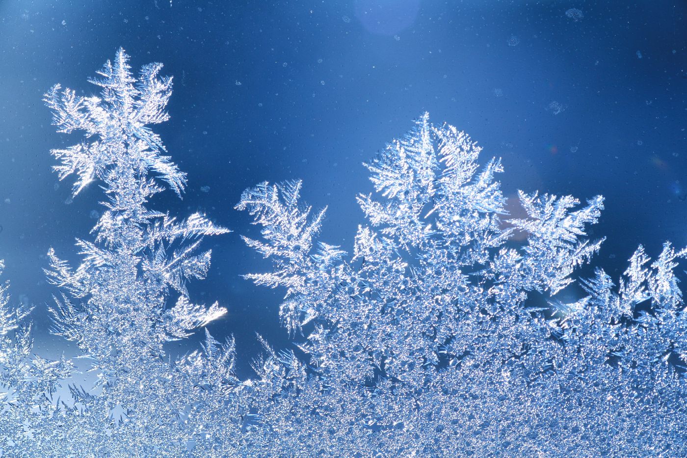 Výstraha před silnou námrazou: mapa ukazuje, kde může dosáhnout i přes 3 cm