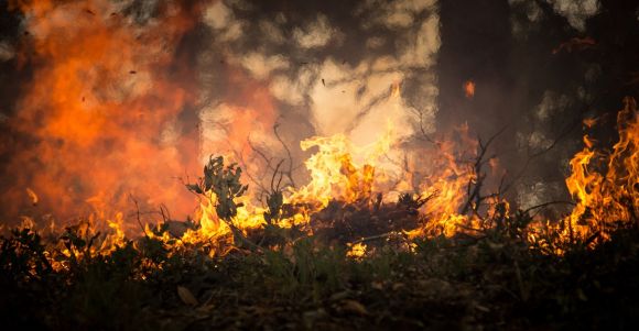 Lesní požáry jsou kvůli změně klimatu rozsáhlejší