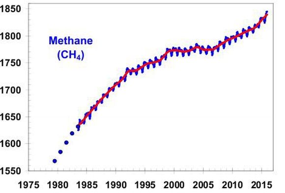 Člověk produkuje více metanu než se myslelo