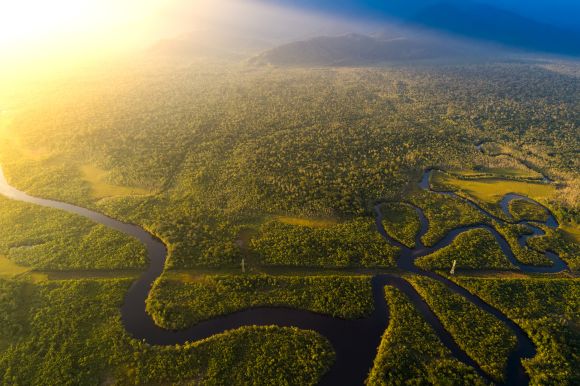 Amazonský prales ztrácí schopnost absorbovat CO2