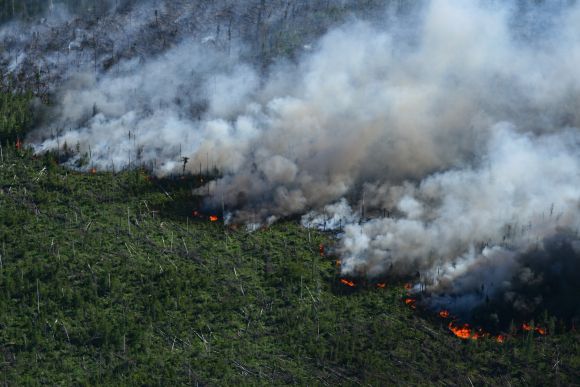 Dým z lesních požárů je nebezpečnější než jiné typy znečistění