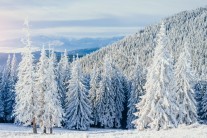 Výhled na začátek ledna: počasí přinese pravou zimu!