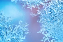 Před námi jsou další velmi chladná rána. Zahrádkáře budou trýznit přízemní mrazy až -6 °C