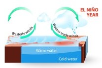 La Niña tentokrát jen slabé: WMO upřesňuje výhled a možný dopad na Evropu