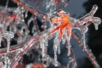 Ledovka, náledí nebo námraza? Jaký je mezi těmito jevy rozdíl a udeří některý z nich v příštích dnech?
