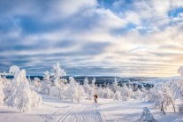 Modely upřesnily, jak moc se bude v příštím týdnu ochlazovat. Teploty se mohou propadnout na -15 °C