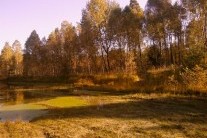 Místo zimy přijde do Česka jaro, čeká nás velmi nezvykle teplý týden