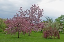 První výhled na druhou polovina dubna: Počasí už bude více aprílové, ale teplé