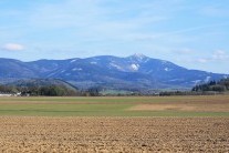 Na Matěje je spolehnutí, jaro nám vítá pravidelně