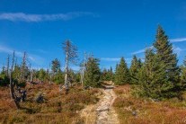 Výhled počasí do konce týdne: jako na houpačce, celkově ale bude nadále spíše teplo