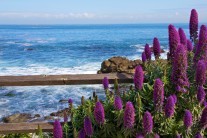 Do Evropy už dorazily první letošní tropické teploty!