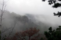 Výhled počasí na prosinec: zima se moc nepředvede