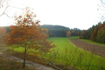 O víkendu se obloha zatáhne na většině území, podívejte se, kde je šance na Slunce