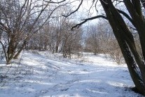 Lyžařům se krátí čas, sníh z hor brzy zmizí