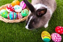 Počasí na Velikonoce: každý den bude teplejší, s otazníkem je Velikonoční pondělí