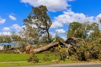 Alpy pod sněhem, Jadran pod náporem bóry. Extrémní počasí paralyzuje část Evropy